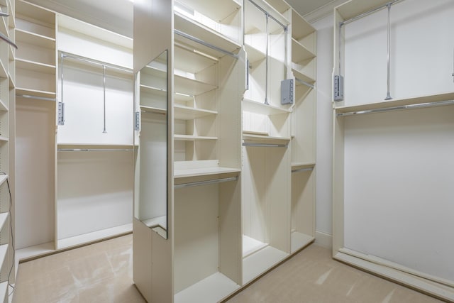 spacious closet with light carpet