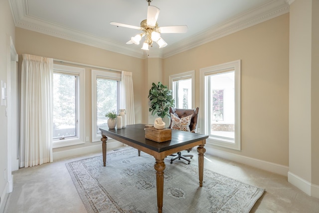 carpeted office space featuring ceiling fan, ornamental molding, and a wealth of natural light