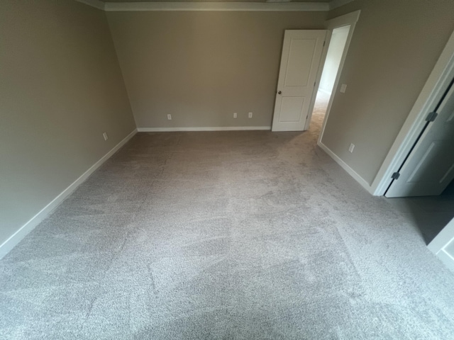 spare room featuring carpet and ornamental molding