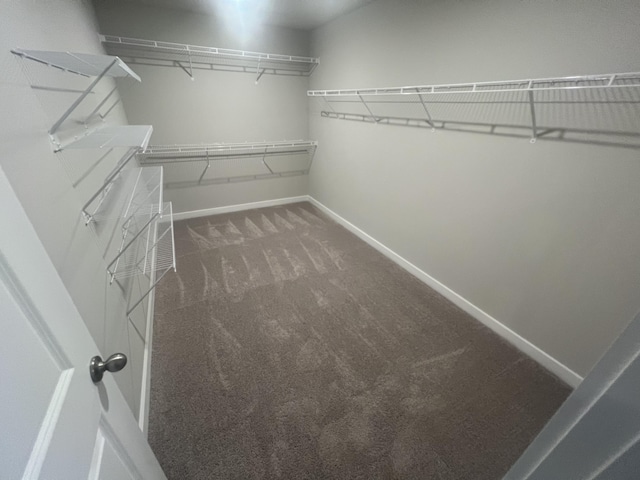 spacious closet with dark colored carpet