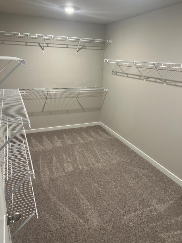 spacious closet featuring dark carpet