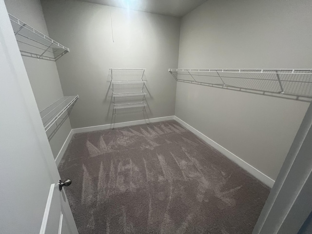 spacious closet with dark colored carpet