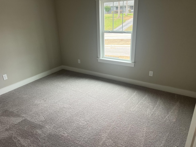 spare room with carpet floors