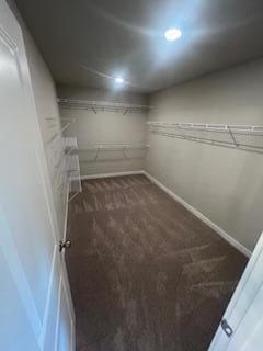 walk in closet featuring dark colored carpet