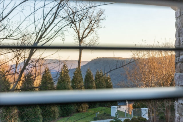 property view of water featuring a mountain view