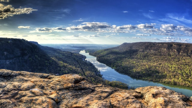 mountain view with a water view and a view of trees