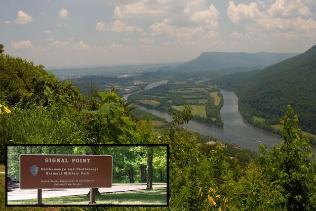 view of property's community featuring a mountain view