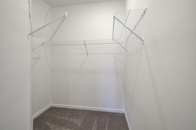 spacious closet with carpet