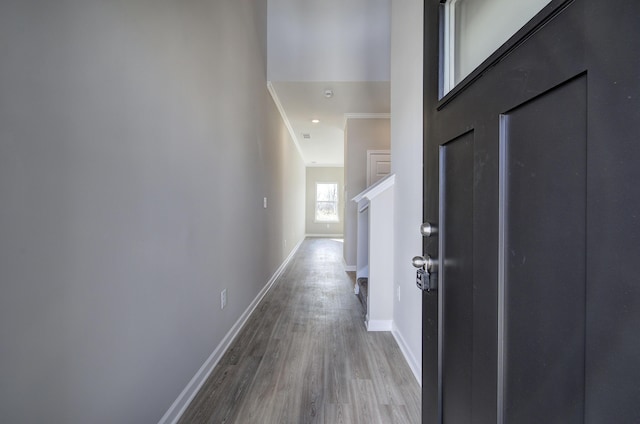 hall featuring hardwood / wood-style flooring and ornamental molding