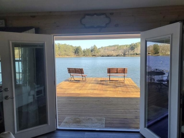 entryway featuring a healthy amount of sunlight and a water view