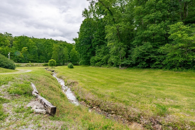 view of local wilderness