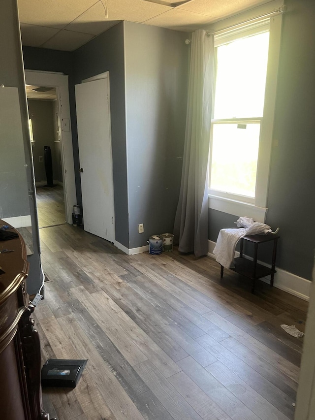 empty room featuring plenty of natural light, a drop ceiling, and light hardwood / wood-style floors