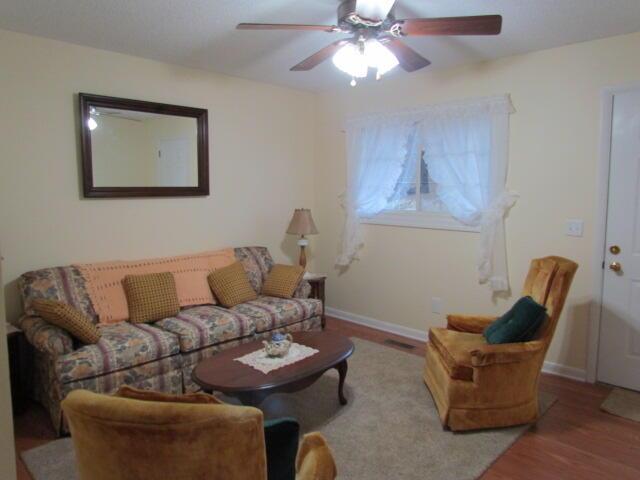 living room with ceiling fan and wood-type flooring