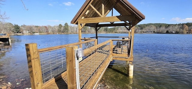 dock area with a water view