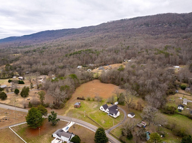 drone / aerial view with a mountain view