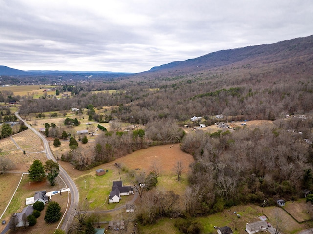 birds eye view of property featuring a mountain view