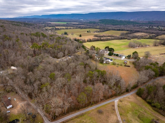 aerial view featuring a mountain view