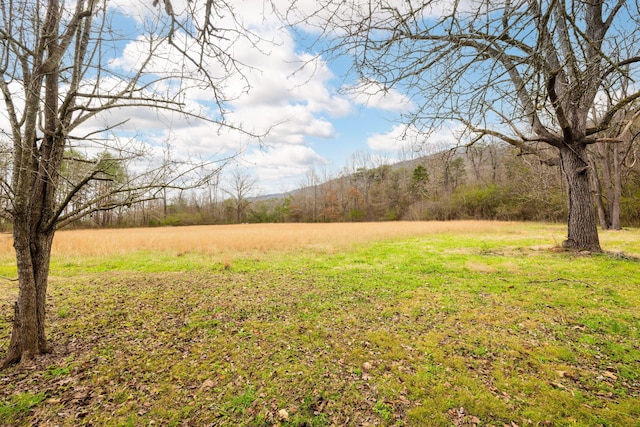 view of yard featuring a rural view