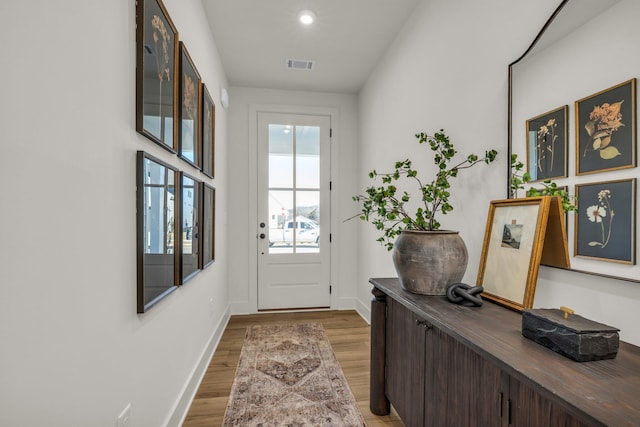 entryway featuring wood-type flooring