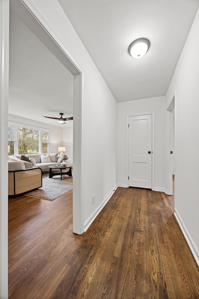 corridor featuring hardwood / wood-style floors