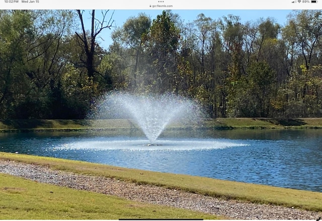 view of water feature