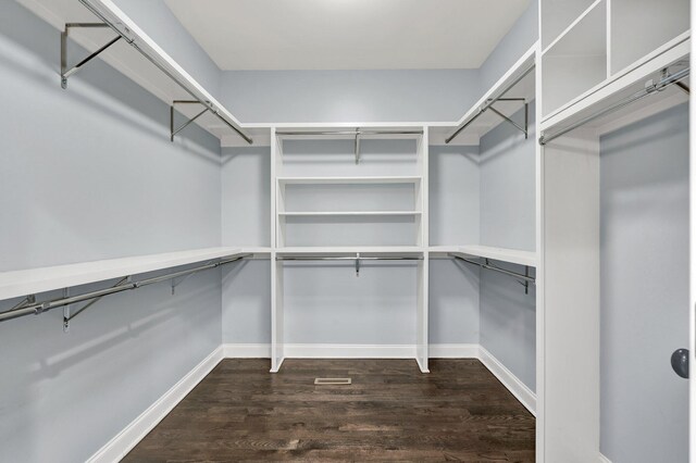 walk in closet with dark hardwood / wood-style floors