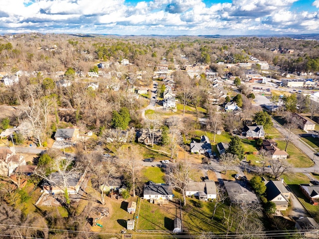 drone / aerial view