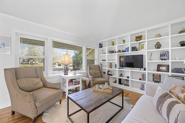 living room featuring light hardwood / wood-style flooring