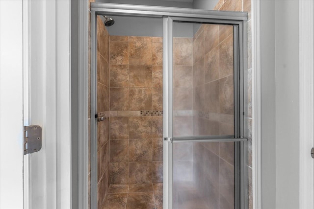 bathroom featuring a shower with door