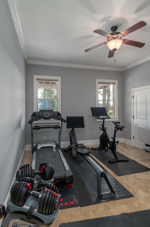 exercise area with carpet flooring, ceiling fan, and crown molding