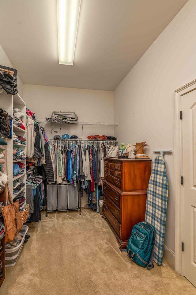 walk in closet with light colored carpet