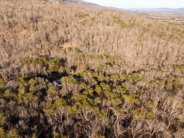 bird's eye view featuring a mountain view