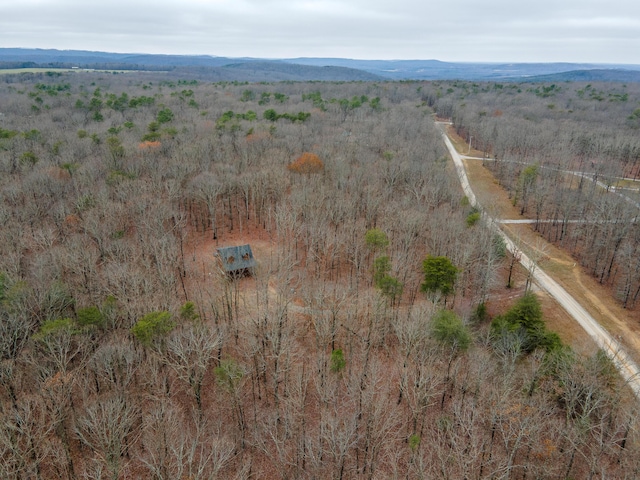 drone / aerial view with a rural view and a mountain view