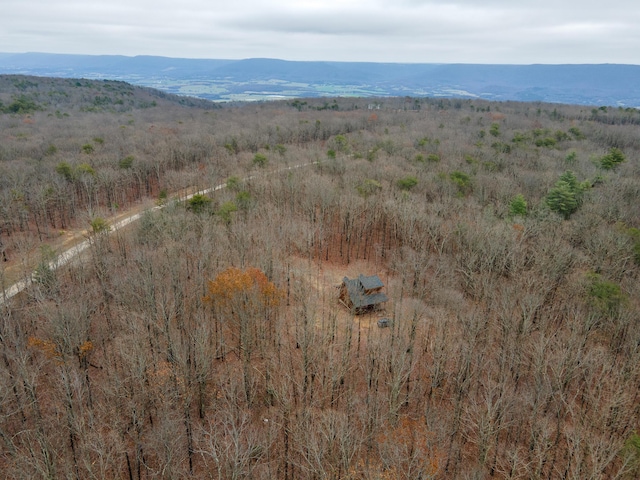 aerial view with a mountain view