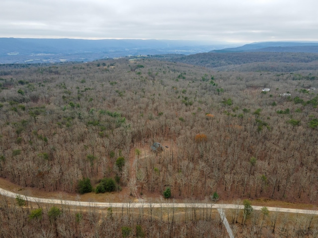 drone / aerial view with a mountain view