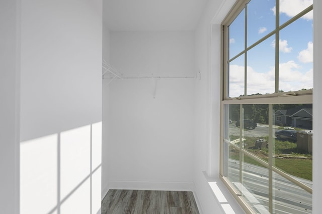 walk in closet with dark hardwood / wood-style floors