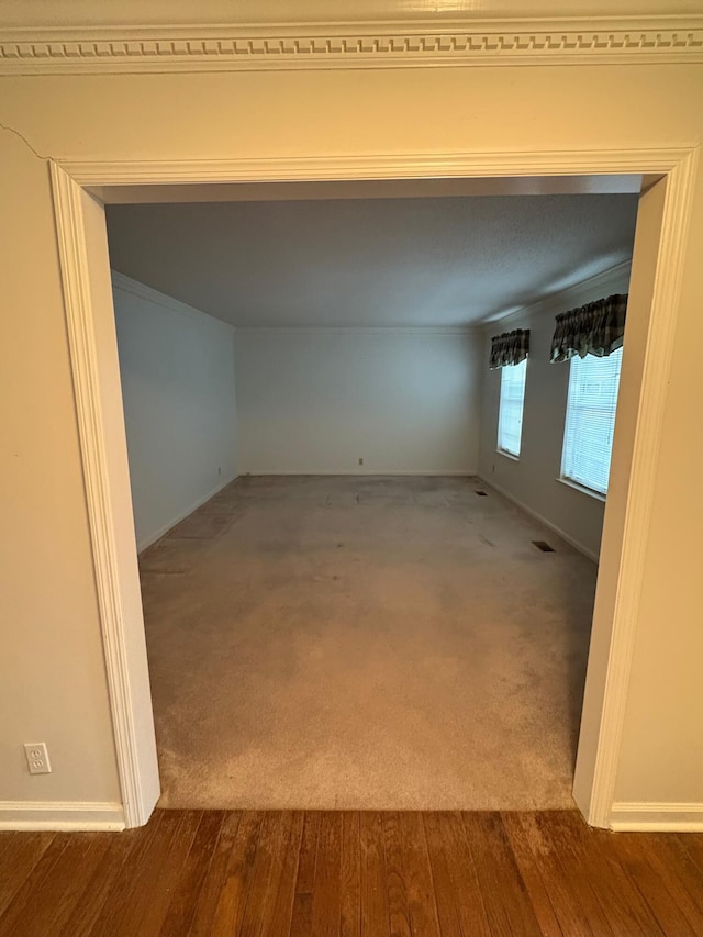 unfurnished room with carpet flooring