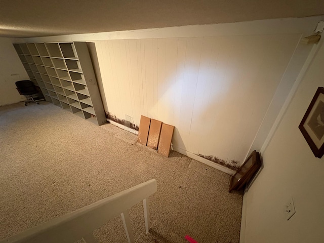 basement with carpet