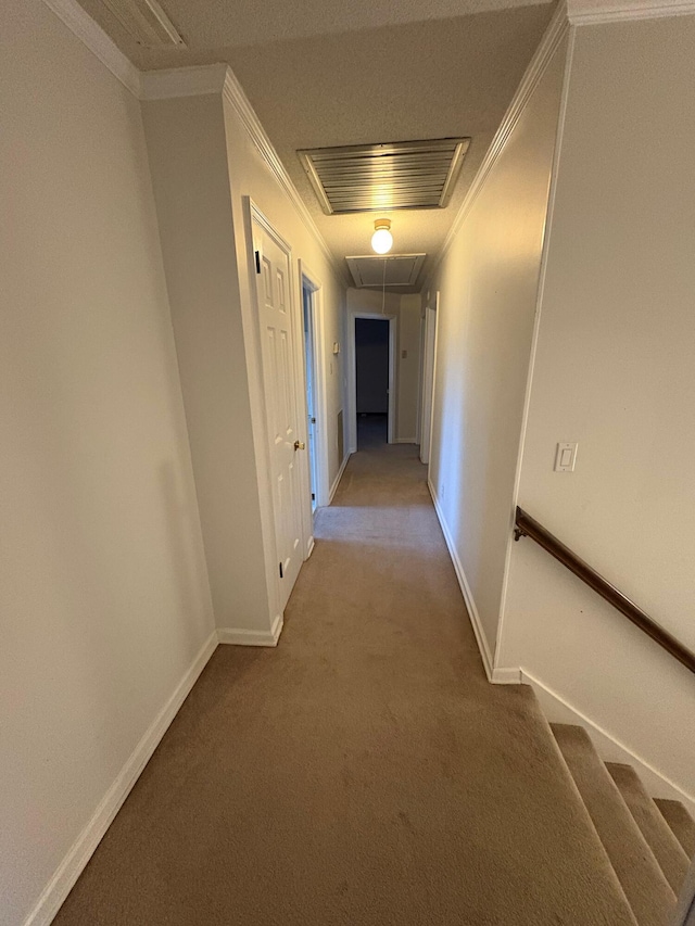 hallway featuring carpet and ornamental molding