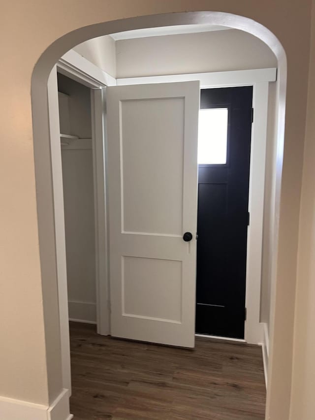 entrance foyer featuring dark wood-type flooring