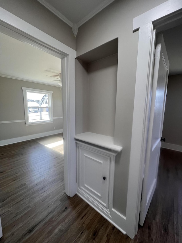 interior space featuring dark hardwood / wood-style flooring and crown molding