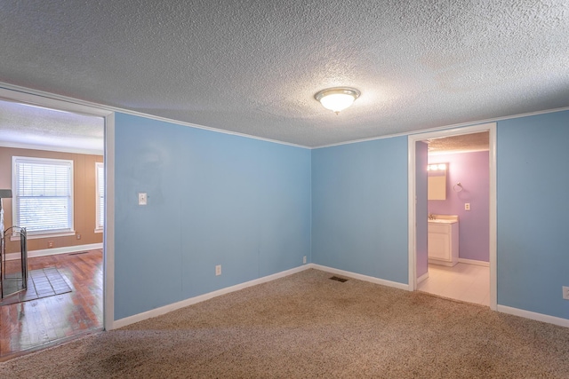 empty room with carpet floors, sink, and a textured ceiling