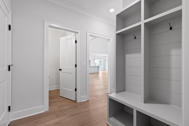 mudroom featuring ornamental molding and light wood-type flooring