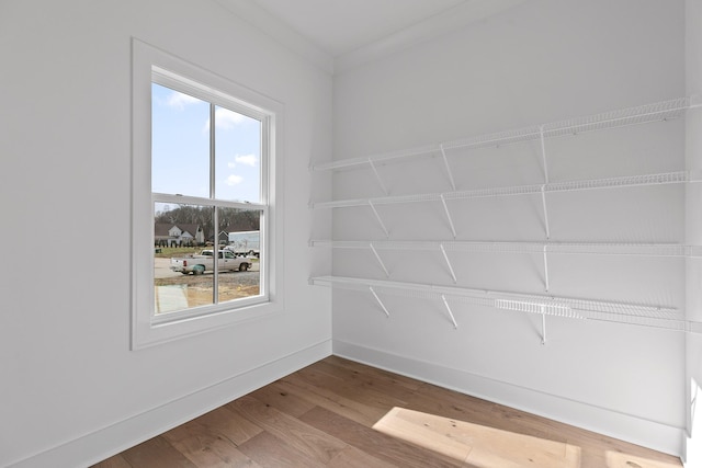 empty room with hardwood / wood-style floors and a wealth of natural light