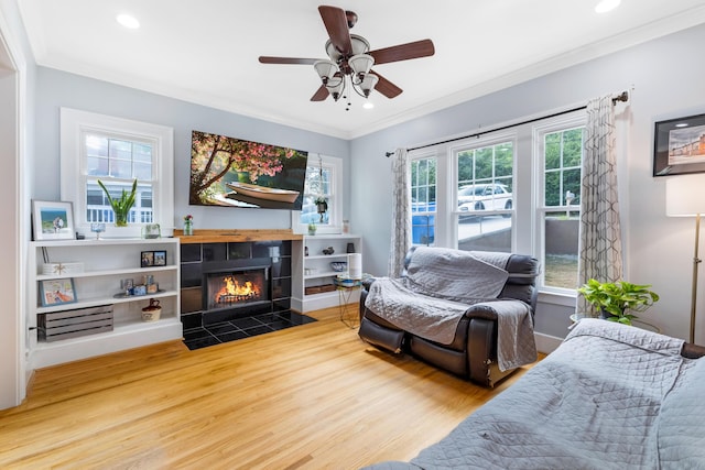 living room with hardwood / wood-style floors, plenty of natural light, ceiling fan, and a fireplace