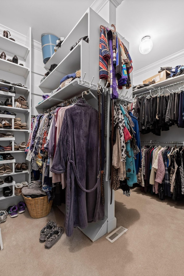 walk in closet featuring carpet