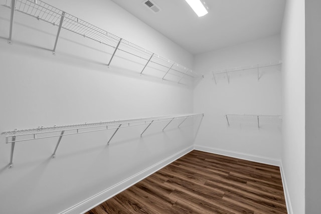 spacious closet featuring dark hardwood / wood-style floors