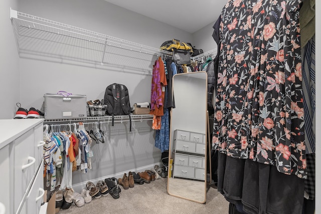 walk in closet with carpet floors