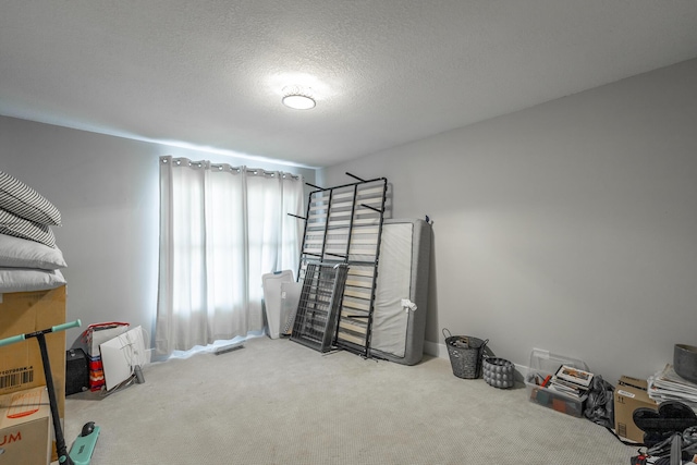 misc room featuring a textured ceiling and carpet floors