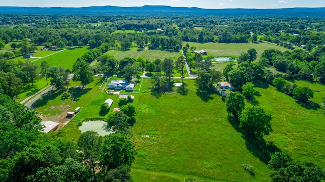 4533 Long Hollow Rd, Ringgold, GA 30736 - aerial view of sparsely populated area